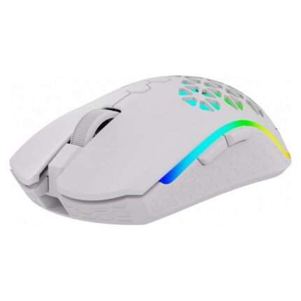 SOURIS GAMER AQIRYS POLARIS DOUBLE MODE RGB