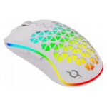 SOURIS GAMER AQIRYS POLARIS DOUBLE MODE RGB