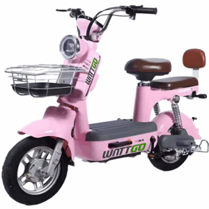 Scooter WANTTGO WG012