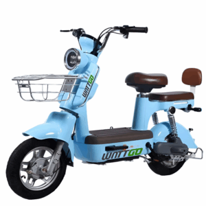 Scooter WANTTGO WG012