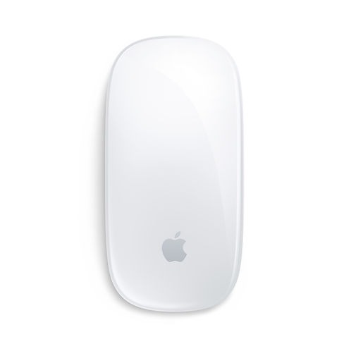 Souris Apple Magic Mouse (USB-C) Surface Multi-Touch